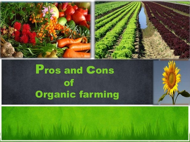 The Pros And Cons Of Organic Farming