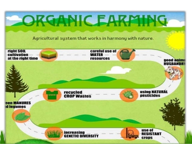 organic food pros and cons essay What is organic farming here are the pros and cons of organic farming the vitamin and mineral content of organic food products is always high as the soil. organic food pros and cons essay What is organic farming here are the pros and cons of organic farming the vitamin and mineral content of organic food products is always high as the soil.