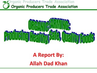 A Report By:
Allah Dad Khan
 