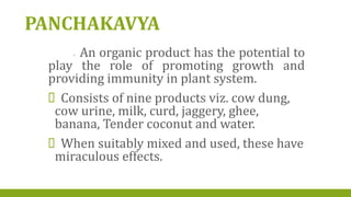 PANCHAKAVYA
- An organic product has the potential to
play the role of promoting growth and
providing immunity in plant system.
Consists of nine products viz. cow dung,
cow urine, milk, curd, jaggery, ghee,
banana, Tender coconut and water.
When suitably mixed and used, these have
miraculous effects.
 