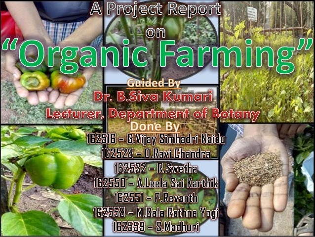 Phd thesis on organic farming