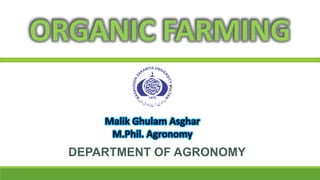 ORGANIC FARMING
DEPARTMENT OF AGRONOMY
Malik Ghulam Asghar
M.Phil. Agronomy
 