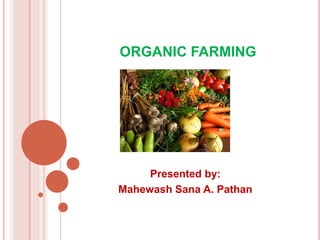 ORGANIC FARMING
Presented by:
Mahewash Sana A. Pathan
 