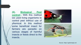 (6). Biological Pest
control:- With this method
we used living organisms to
control pest without use of
chemical. In this method
some beneficial insect for
farmers are parasitic on
various stages of harmful
insects or feeds direct to the
insects.
Source:- https://.agrihomegh.com
 