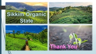 organicfarming-200605085354 (1).pdf