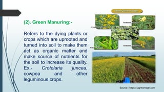 (2). Green Manuring:-
Refers to the dying plants or
crops which are uprooted and
turned into soil to make them
act as organic matter and
make source of nutrients for
the soil to increase its quality.
Ex.- Crotolaria juncea,
cowpea and other
leguminous crops.
Source:- https://.agrihomegh.com
 