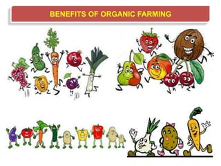 BENEFITS OF ORGANIC FARMING
 