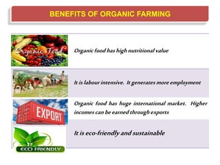 BENEFITS OF ORGANIC FARMING
Organicfood hashighnutritionalvalue
Itislabourintensive. Itgeneratesmoreemployment
Organic food has huge international market. Higher
incomescanbeearnedthroughexports
Itiseco-friendlyandsustainable
 