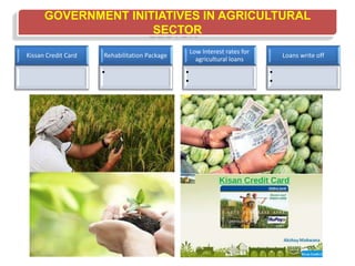 GOVERNMENT INITIATIVES IN AGRICULTURAL
SECTOR
Kissan Credit Card Rehabilitation Package
•
Low Interest rates for
agricultural loans
•
•
Loans write off
•
•
 
