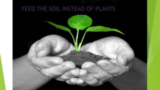FEED THE SOIL INSTEAD OF PLANTS
 