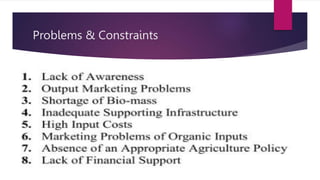 Problems & Constraints
 