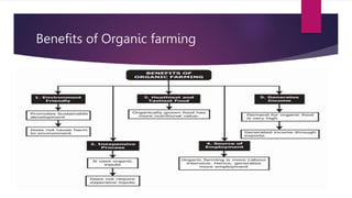 Benefits of Organic farming
 