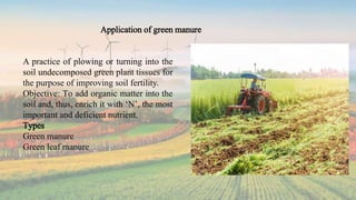 Application of green manure
A practice of plowing or turning into the
soil undecomposed green plant tissues for
the purpose of improving soil fertility.
Objective: To add organic matter into the
soil and, thus, enrich it with ‘N’, the most
important and deficient nutrient.
Types
Green manure
Green leaf manure
 