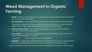 Weed Management in Organic
Farming
1. Mulch: Mulching or covering the soil surface can prevent weed seed germination
by blocking light transmission.
2. Soil solarization :- clear plastic film is placed over an area after it has been tilled.
Solarization works when the heat created under the plastic film, which is tightly
sealed at the edges, becomes intense enough to kill weed seeds.
3. Thermal weed control :- use of flaming equipment to create direct contact
between the flame and the plant.
4. Crop rotation :- It create an unstable environment that discourages weeds from
becoming established in the field.
Known as Heart of the organic weed management
5. Sanitation:- Using clean seed will prevent the introduction of new weed problems
and will avoid planting a generous crop of weeds with your desired crop.
Proper sanitation on the farm to reduce the introduction and spread of weed seeds.
 