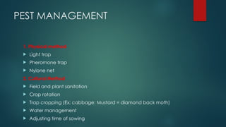 PEST MANAGEMENT
1. Physical method
 Light trap
 Pheromone trap
 Nylone net
2. Cultural Method
 Field and plant sanitation
 Crop rotation
 Trap cropping (Ex; cabbage: Mustard = diamond back moth)
 Water management
 Adjusting time of sowing
 
