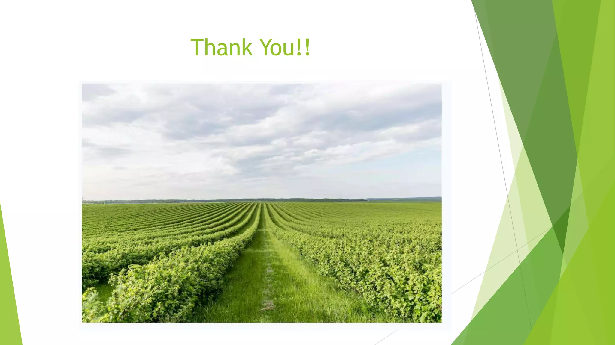 Organic Farming 2 Pptx