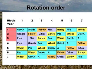 Rotation order

Block          1      2          3        4        5        6        7
Year

1       Oat+A      Alfalfa   Fallow Flax       Barley   Pea      Wheat
2       Canola     Fallow    C/flax   Barley   Pea      Wheat    Oat+A
3       Flax        Flax     Barley   Pea      Wheat    Oat+A    A

4       Flax       Canola Pea         Wheat    Oat+A    A        Fallow

5       Wheat      Pea       Wheat    Oat+A    A        Fallow   C/flax
6       Pea        Wheat     Oat+A    A        Fallow C/flax     Barley
7       Wheat      Oat+A     A        Fallow C/flax     Barley   Pea
 