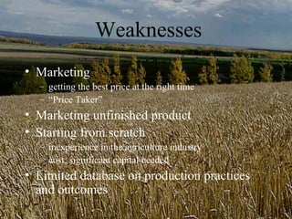 Weaknesses
• Marketing
  – getting the best price at the right time
  – “Price Taker”
• Marketing unfinished product
• Starting from scratch
  – inexperience in the agriculture industry
  – cost: significant capital needed
• Limited database on production practices
  and outcomes
 