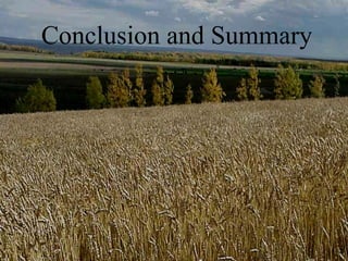 Conclusion and Summary
 