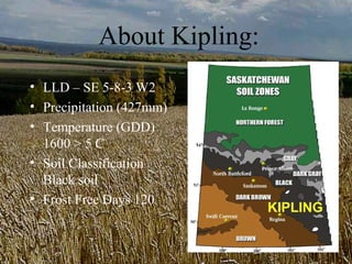 About Kipling:
• LLD – SE 5-8-3 W2
• Precipitation (427mm)
• Temperature (GDD)
  1600 > 5 C
• Soil Classification
  Black soil
• Frost Free Days 120
                            KIPLING
 