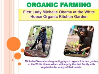 ORGANIC FARMING
First Lady Michelle Obama at the White
    House Organic Kitchen Garden




Michelle Obama has begun digging an organic kitchen garden
  at the White House which will supply the first family with
             vegetables for many of their meals.
 
