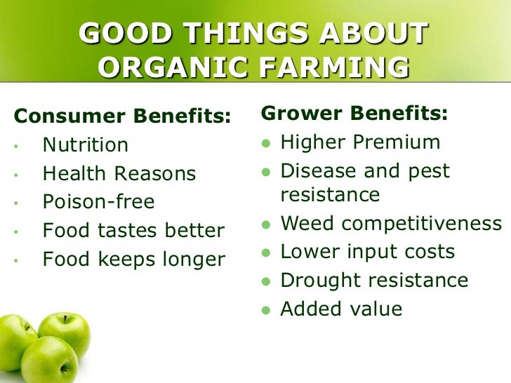 Why Is Organic Food Better For Health Why Is Organic Food Better For Health