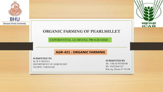 ORGANIC FARMING OF PEARLMILLET
EXPERIENTIAL LEARNING PROGRAMME
SUBMITTED TO
Dr. R N MEENA
DEPARTMENT OF AGRONOMY
IAS BHU, VARANASI
SUBIMITTED BY
Mr.- VIKAS PATIDAR
ID- 19212AGC167
B.Sc.Ag. (Hons) 4th YEAR
 
