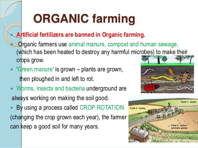 Organic farming essay
