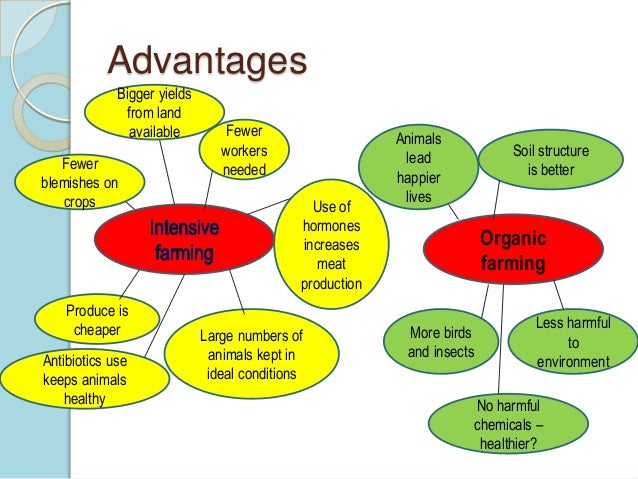 Organic and conventional farming essay