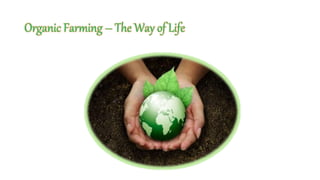 Organic Farming – The Way of Life
 