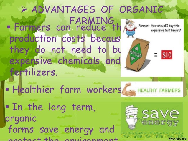 Advantages And Disadvantages Of Organic Food Pdf Advantages And Disadvantages Of Organic Food Pdf