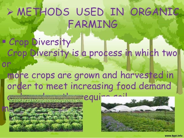 Where Can I Buy Organic Food In Philippines Where Can I Buy Organic Food In Philippines