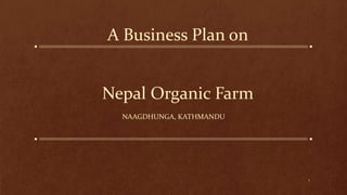 A Business Plan on
NAAGDHUNGA, KATHMANDU
Nepal Organic Farm
1
 