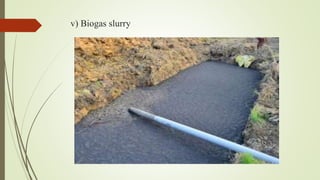 v) Biogas slurry
 