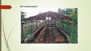 iii) Vermicompost
 