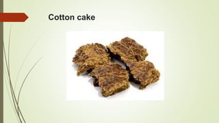 Cotton cake
 