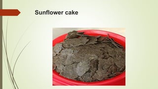 Sunflower cake
 