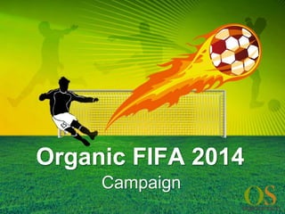 Organic FIFA 2014 
Campaign 
 