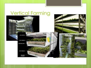 Vertical Farming 
 