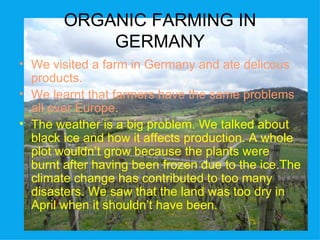 ORGANIC FARMING IN
            GERMANY
• We visited a farm in Germany and ate delicous
  products.
• We learnt that farmers have the same problems
  all over Europe.
• The weather is a big problem. We talked about
  black ice and how it affects production. A whole
  plot wouldn’t grow because the plants were
  burnt after having been frozen due to the ice.The
  climate change has contributed to too many
  disasters. We saw that the land was too dry in
  April when it shouldn’t have been.
 