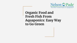 Organic Food and
Fresh Fish From
Aquaponics: Easy Way
to Go Green
 
