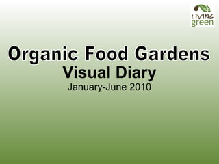 Visual Diary January-June 2010 Organic Food Gardens Over 100 m 2  installed! 
