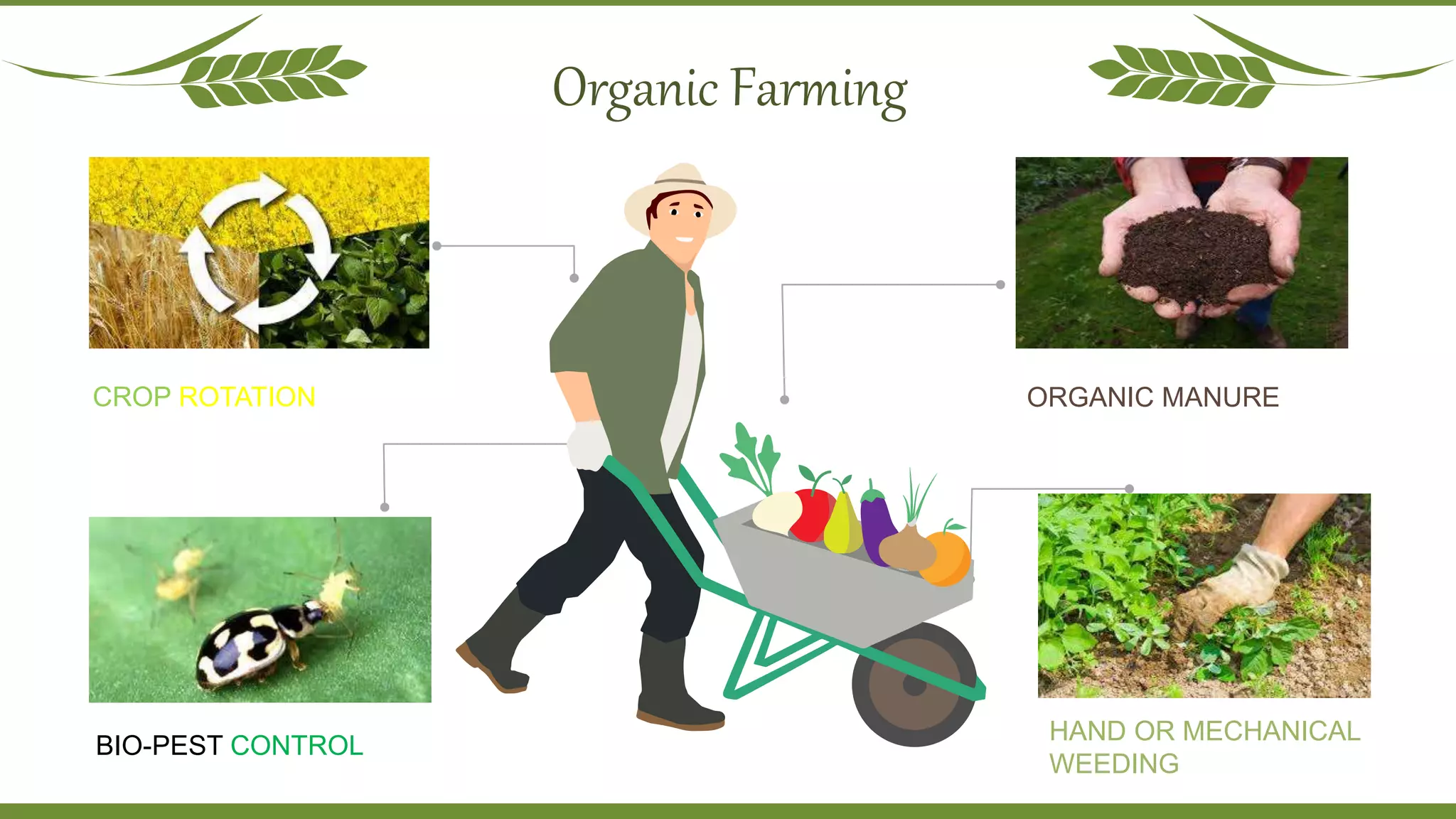 Organic Methods Organic food presentation | PPTX
