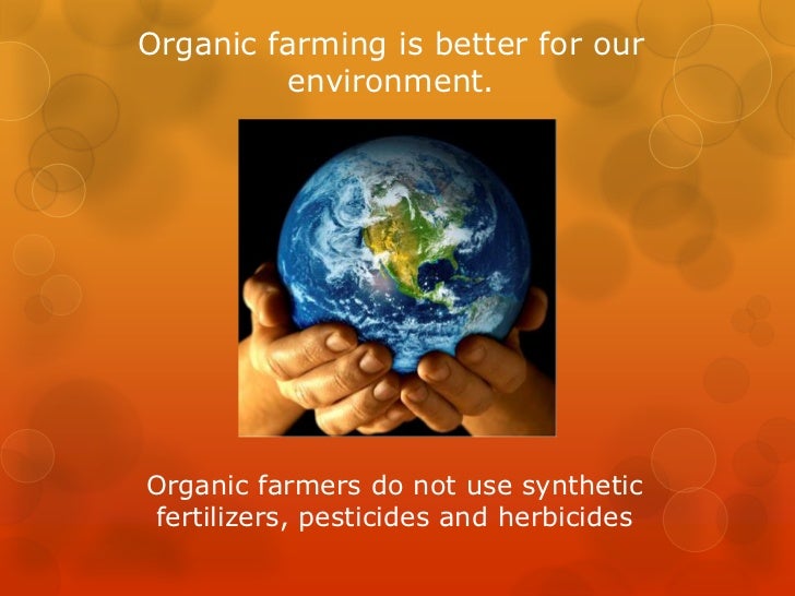 Knowledge About Natural And Organic Foods Paragraph Knowledge About Natural And Organic Foods Paragraph