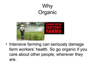 Organic food: What is and Why
