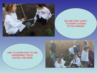In Autumn we decide the write place for our eco-garden WE ARE VERY HAPPY TO WORK OUTSIDE IN THE GARDEN AND TO LEARN HOW TO USE GARDENING TOOLS: SHOVEL AND RAKE 