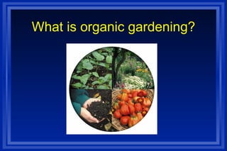 What is organic gardening? 