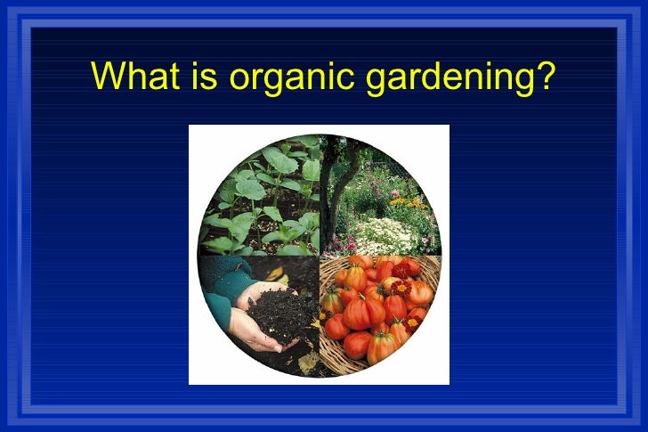 Organic Gardening Week 1