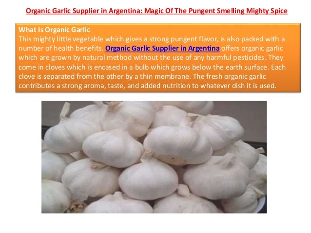 Organic Garlic Supplier in Argentina: Magic Of The Pungent Smelling Mighty Spice
What Is Organic Garlic
This mighty little vegetable which gives a strong pungent flavor, is also packed with a
number of health benefits. Organic Garlic Supplier in Argentina offers organic garlic
which are grown by natural method without the use of any harmful pesticides. They
come in cloves which is encased in a bulb which grows below the earth surface. Each
clove is separated from the other by a thin membrane. The fresh organic garlic
contributes a strong aroma, taste, and added nutrition to whatever dish it is used.
 
