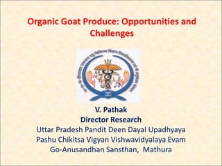 Organic Goat Produce: Opportunities and
Challenges
V. Pathak
Director Research
Uttar Pradesh Pandit Deen Dayal Upadhyaya
Pashu Chikitsa Vigyan Vishwavidyalaya Evam
Go-Anusandhan Sansthan, Mathura
 